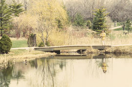 Photograph of a child standing on a bridge in the arboretum