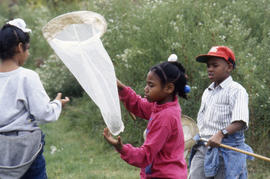 Photograph of Kids at the Arboretum Catching Insects