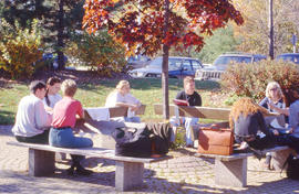 Photograph of students sitting outside on benches