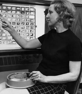 Photograph of a Photography Student looking through Slides from a Carousel