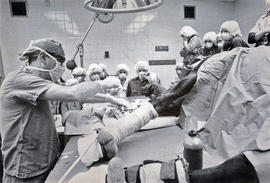 Photograph of a Veterinarian Performing Surgery on a Horse's Leg