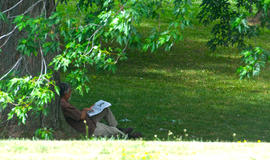 Photograph of M.G. Vassanji reading under a tree